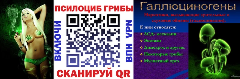 купить наркотик  Раменское  Галлюциногенные грибы ЛСД 